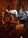 IMG-20221126-WA0027